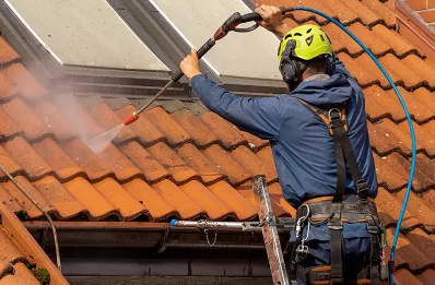 Démoussage et hydrofuge de toiture à René